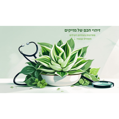 מזיקים בסוקולנטים? מחשבון זיהוי חכם שיציל את הצמח שלכם