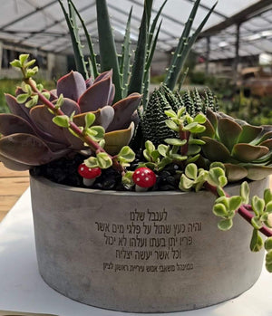 עציץ עם חריטה