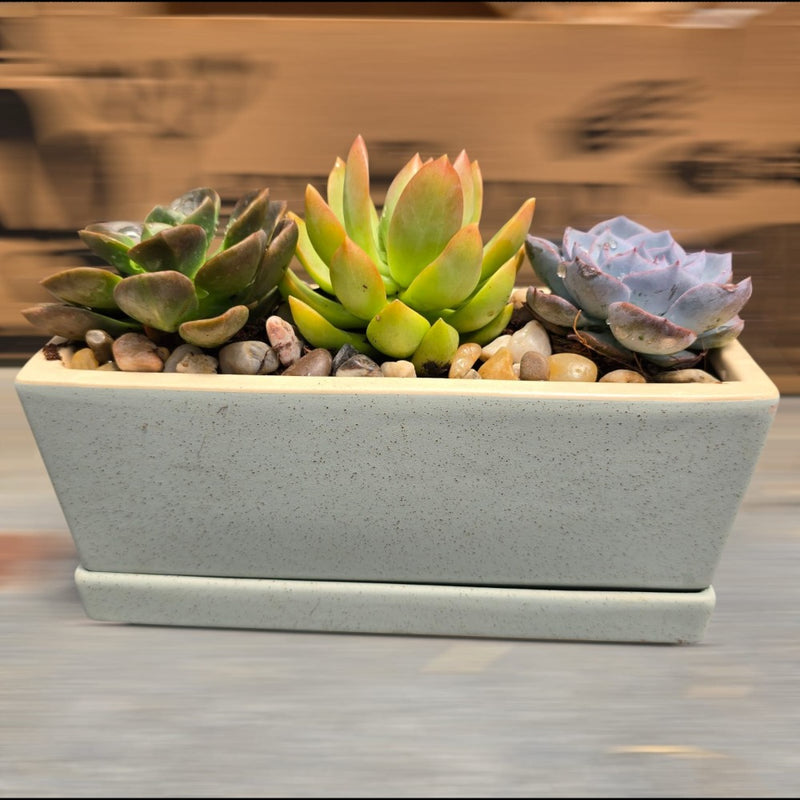 Urban planter