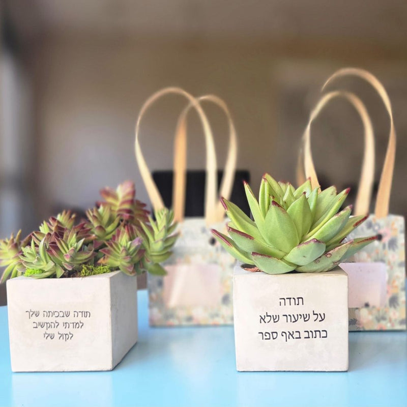 עציצים עם הקדשה