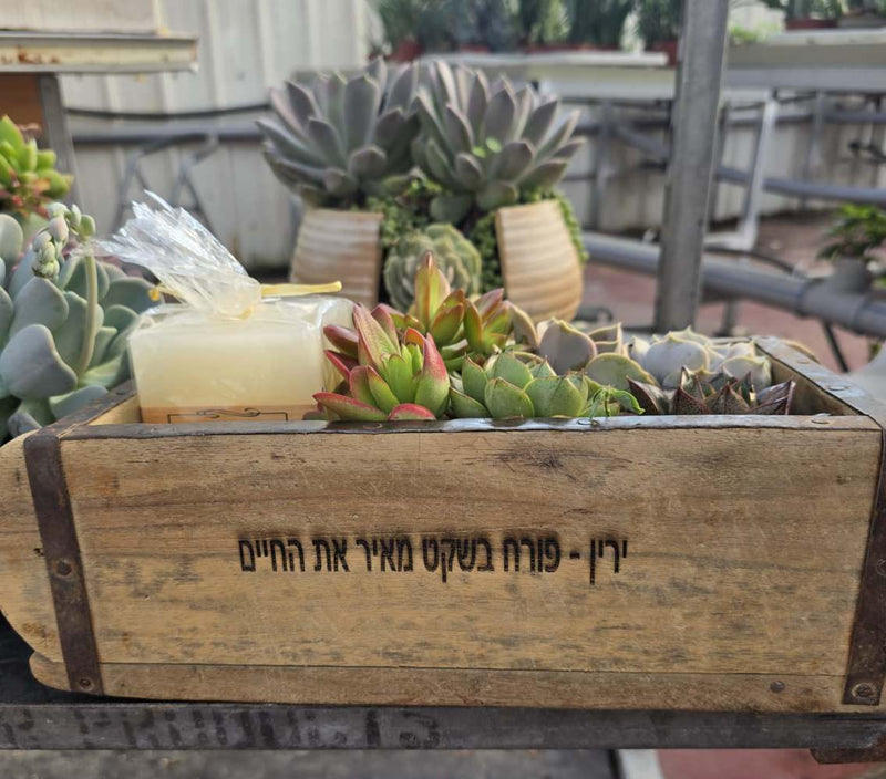 עציצים עם חריטה אישית -מגוון כלים צורות וצבעים
