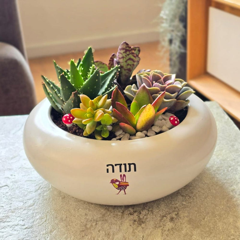 עציצים עם הקדשה