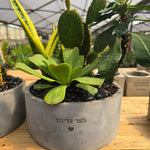 אדנית לבית עלמין עם חריטה אישית