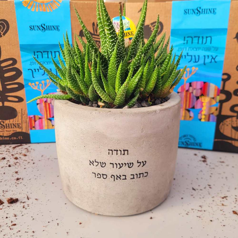 עציצים עם הקדשה