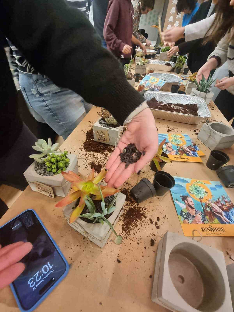 סדנת המשפחה שלי