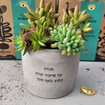 עציץ עם משמעות
