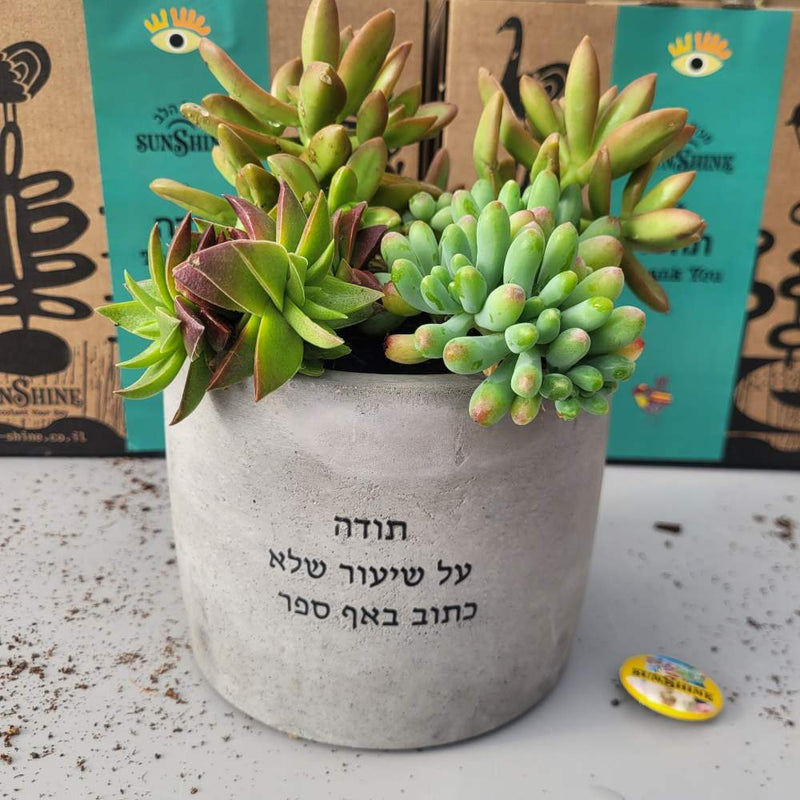 עציץ עם משמעות