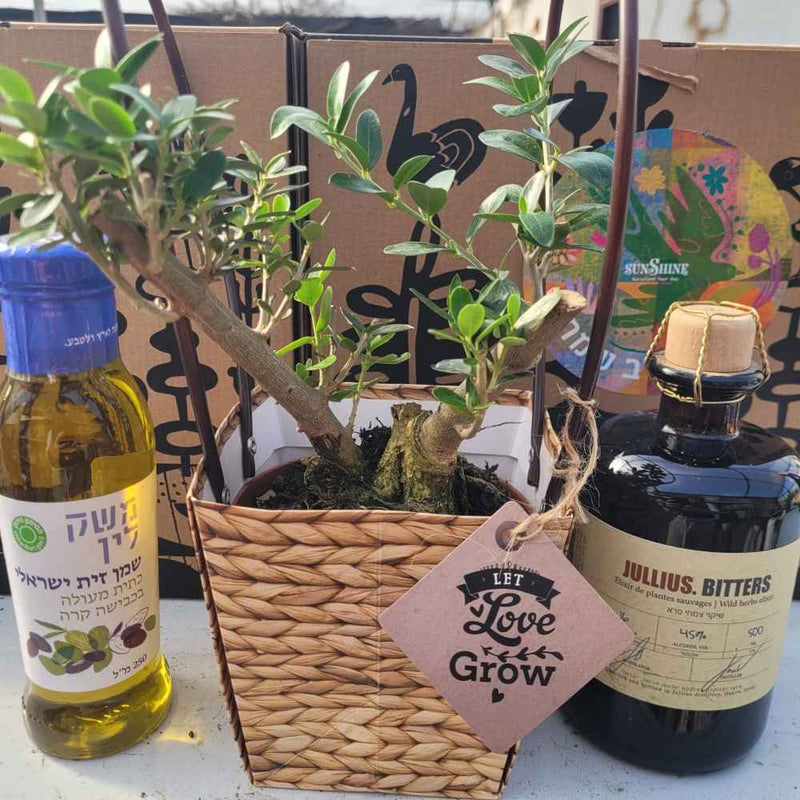 מתנות לעובדים  לפסח עד 250 ש"ח