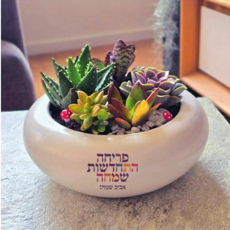 סידור  גינת אביב עם מיתוג