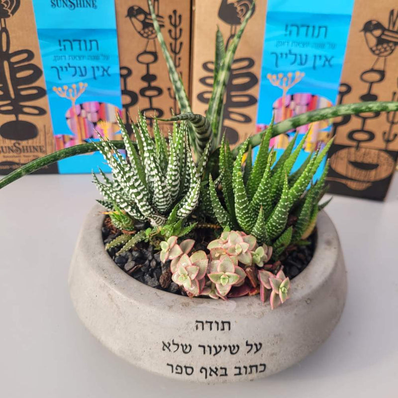 עציצים עם הקדשה