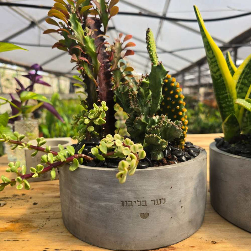 אדנית לבית עלמין עם חריטה אישית