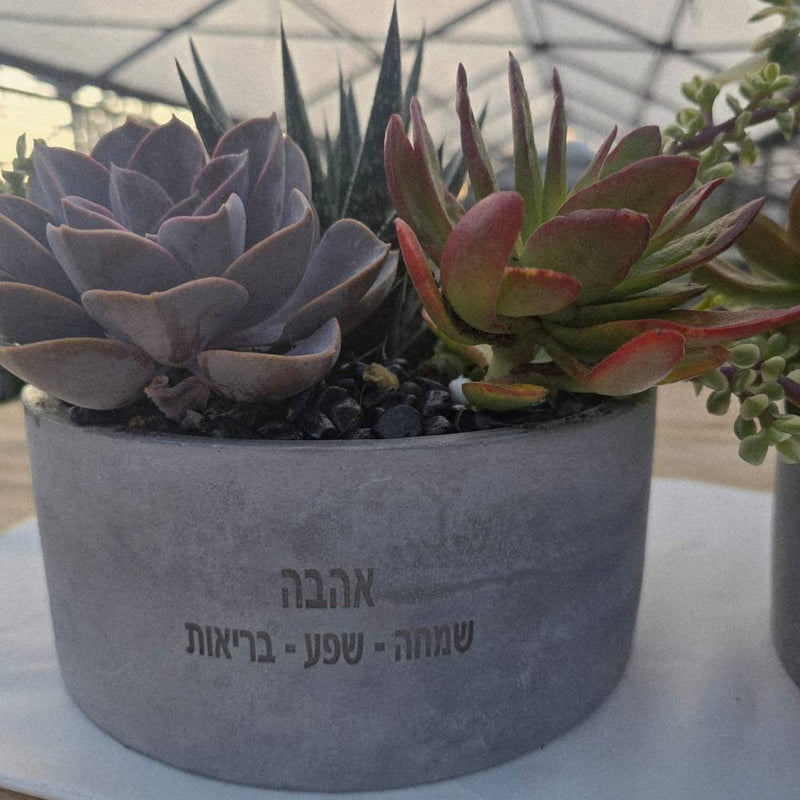 מילה טובה בקערת בטון