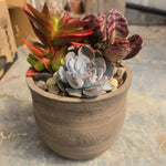 Rustic Mix