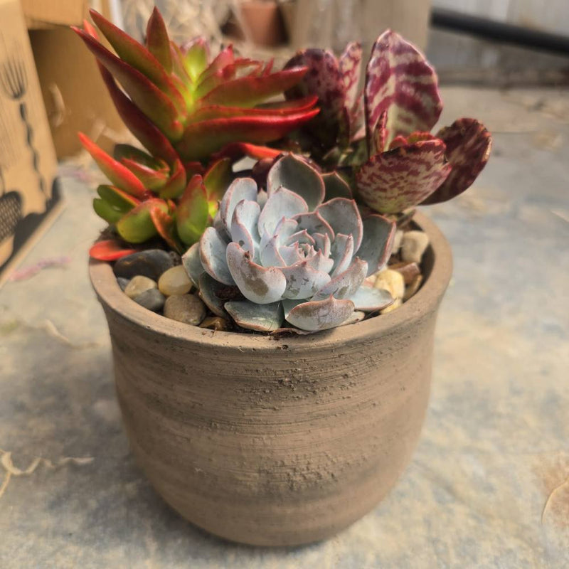 Rustic Mix