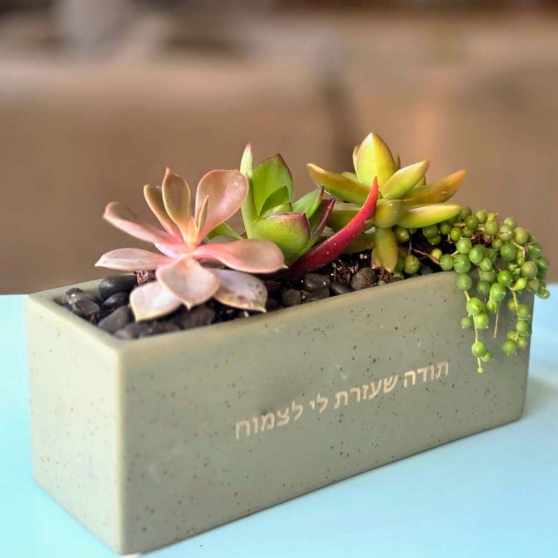 עציצים עם הקדשה