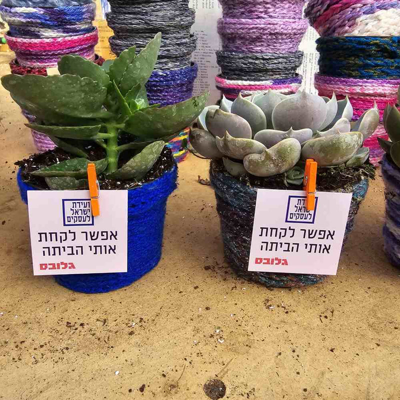 NET -אמנים מהגלריה