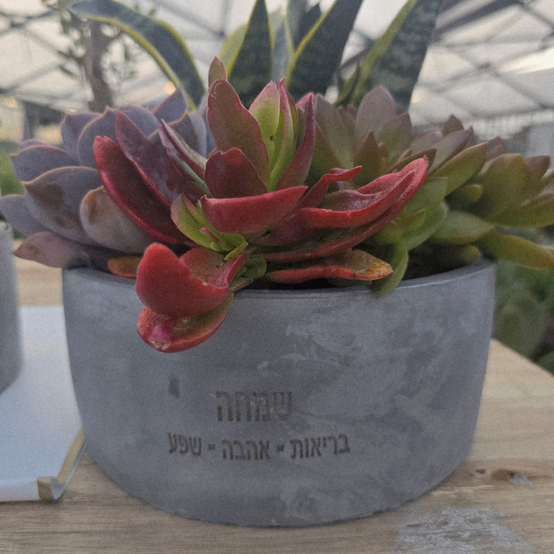 מילה טובה בקערת בטון