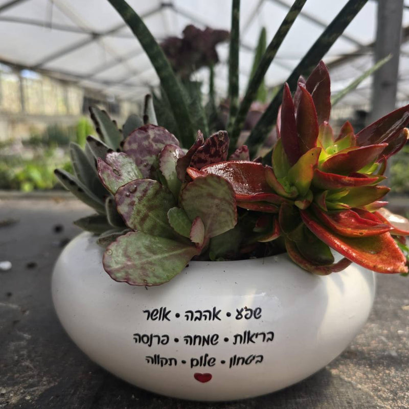 מילה טובה בלבן