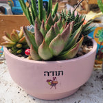 עציצים עם הקדשה