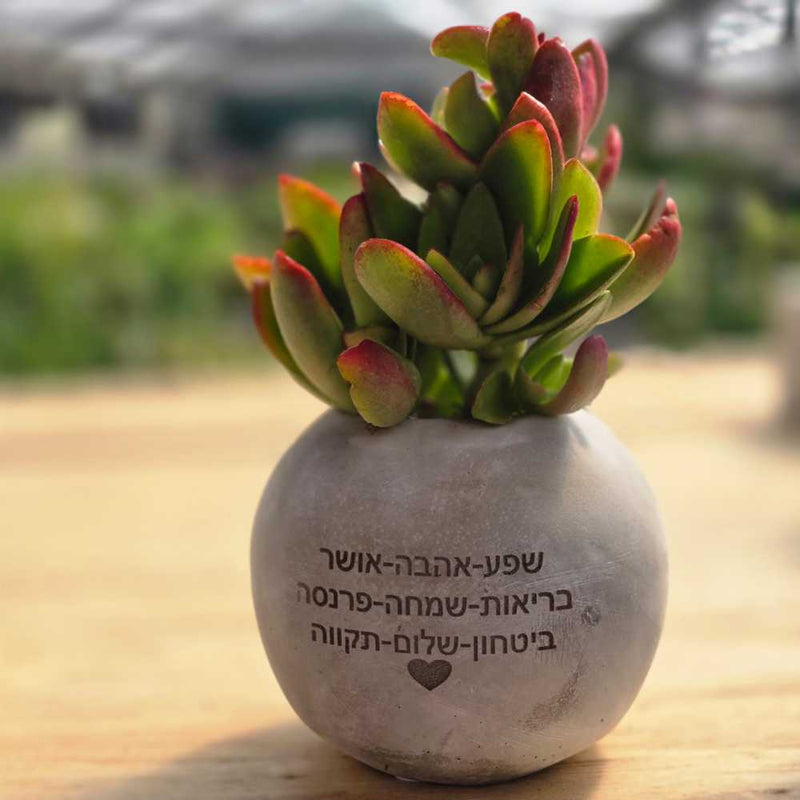 עגול בטון ממותג ראש השנה- עציץ עם מיתוג חג