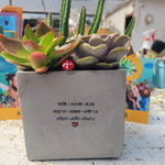 עציצים עם הקדשה