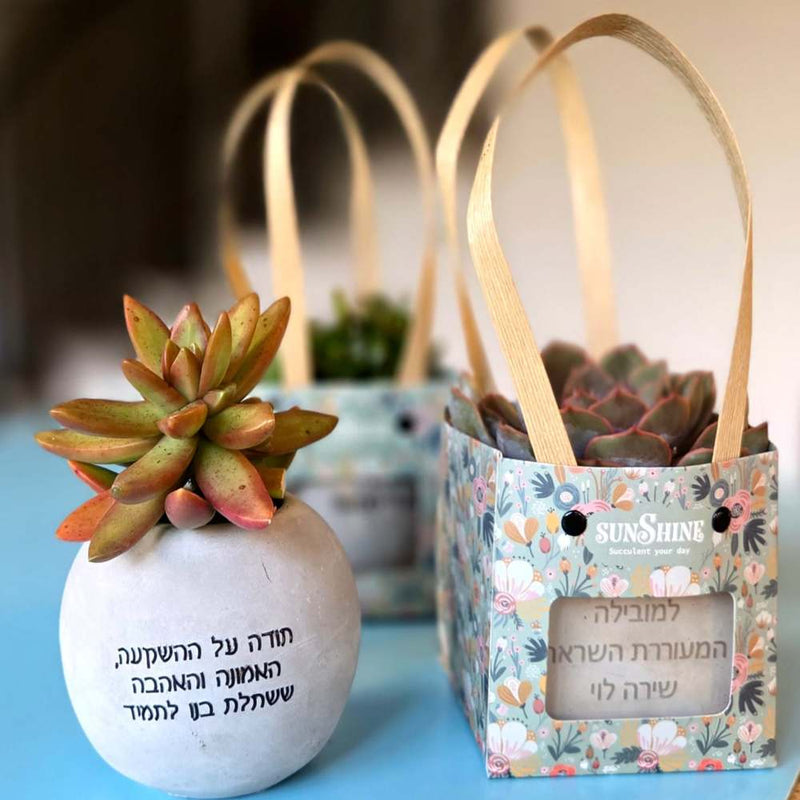 עציצים עם הקדשה