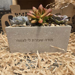 עציצים עם הקדשה