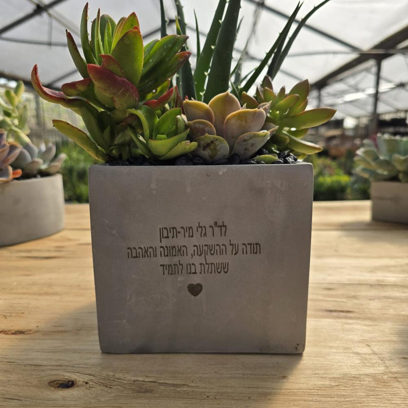 עציצים עם חריטה אישית -מגוון כלים צורות וצבעים