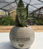 עציצים עם חריטה אישית -מגוון כלים צורות וצבעים
