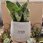עציצים עם חריטה אישית -מגוון כלים צורות וצבעים