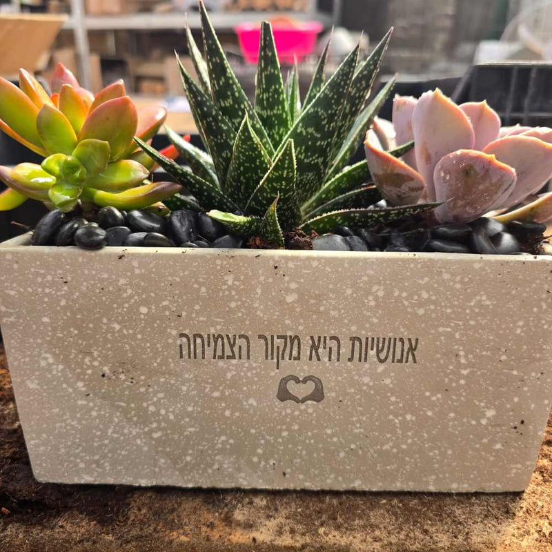 אדנית לבית עלמין עם חריטה אישית