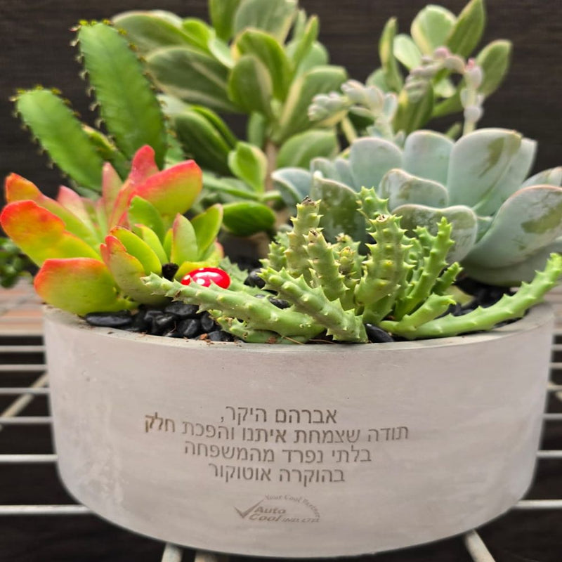 עציצים עם חריטה אישית -מגוון כלים צורות וצבעים
