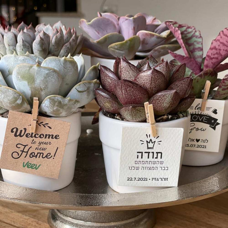 מתנות לעובדים עד 50 ש"ח