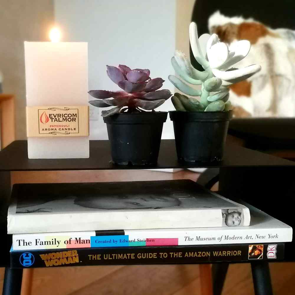 שני סוקולנטים קטנים מסודרים על שולחן