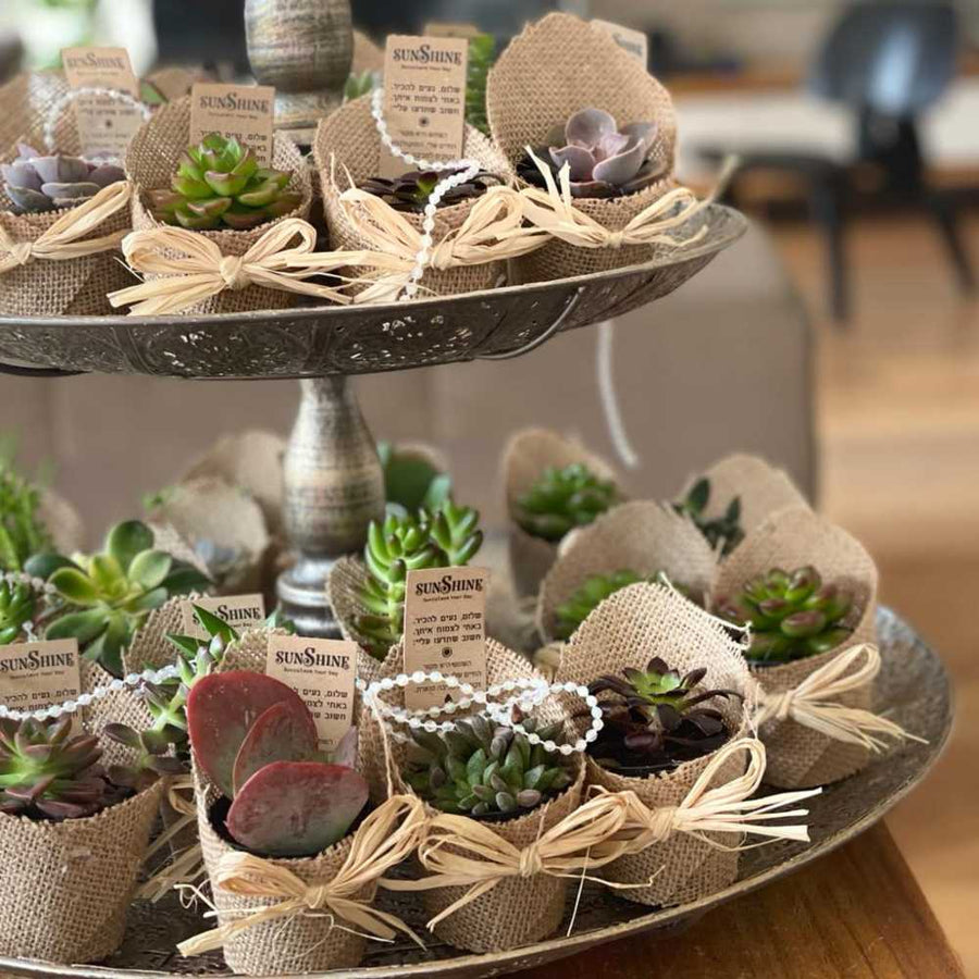 סוקו דיל שמחות למתחתנים-מתנות לאורחים בחתונה