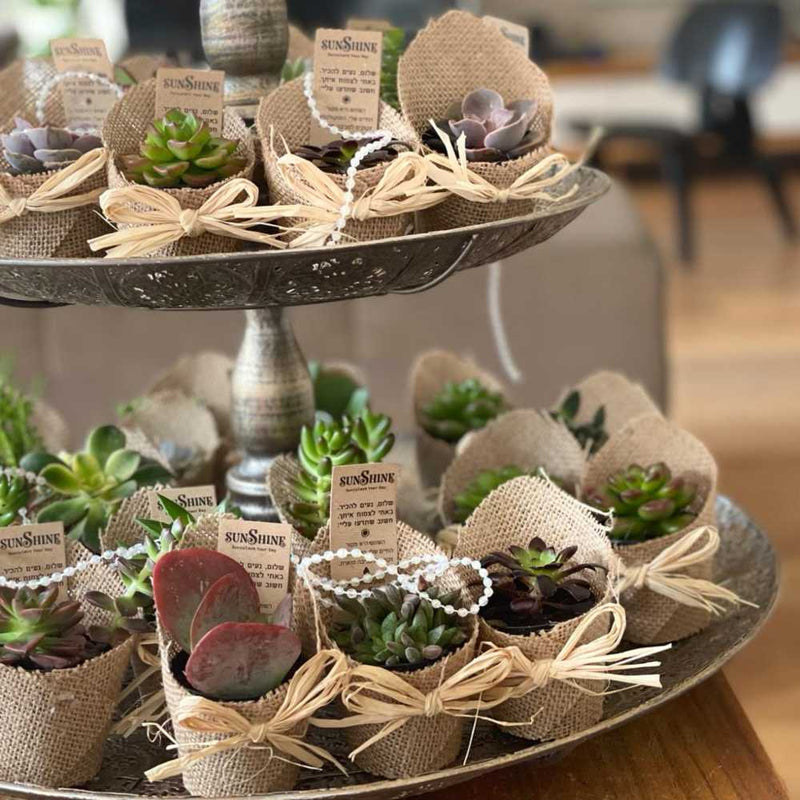 Gifts for employees up to 20 NIS