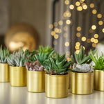 מתנות לעובדים מתנות לעובדים מתנות לעובדים Brass צילינדר 